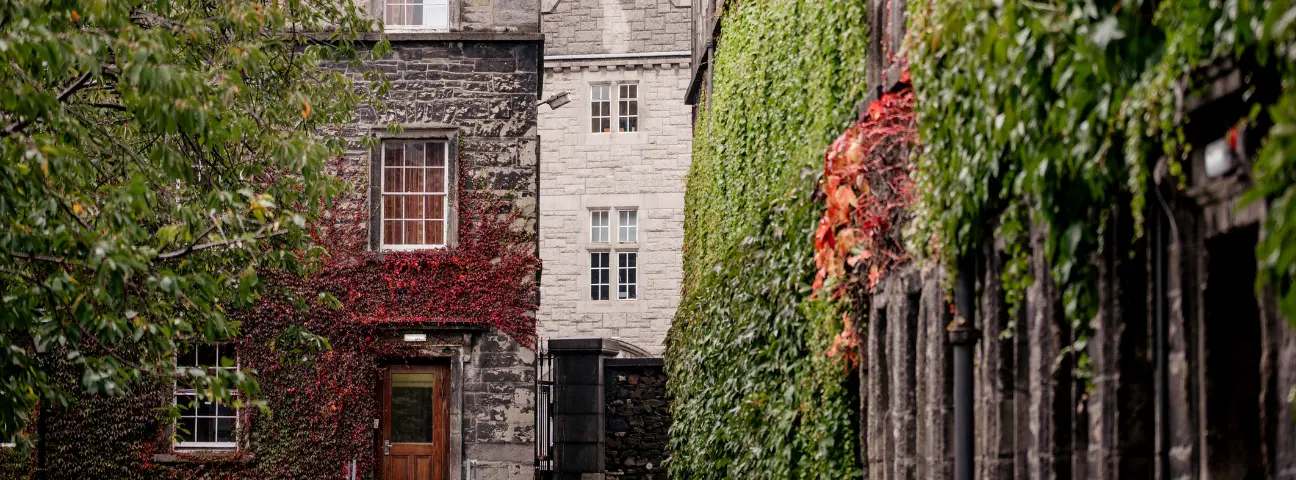 Best Areas to Live in Dublin for Students Alphaway Blog