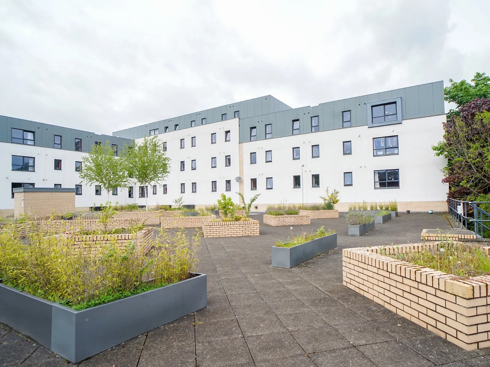 Image 9