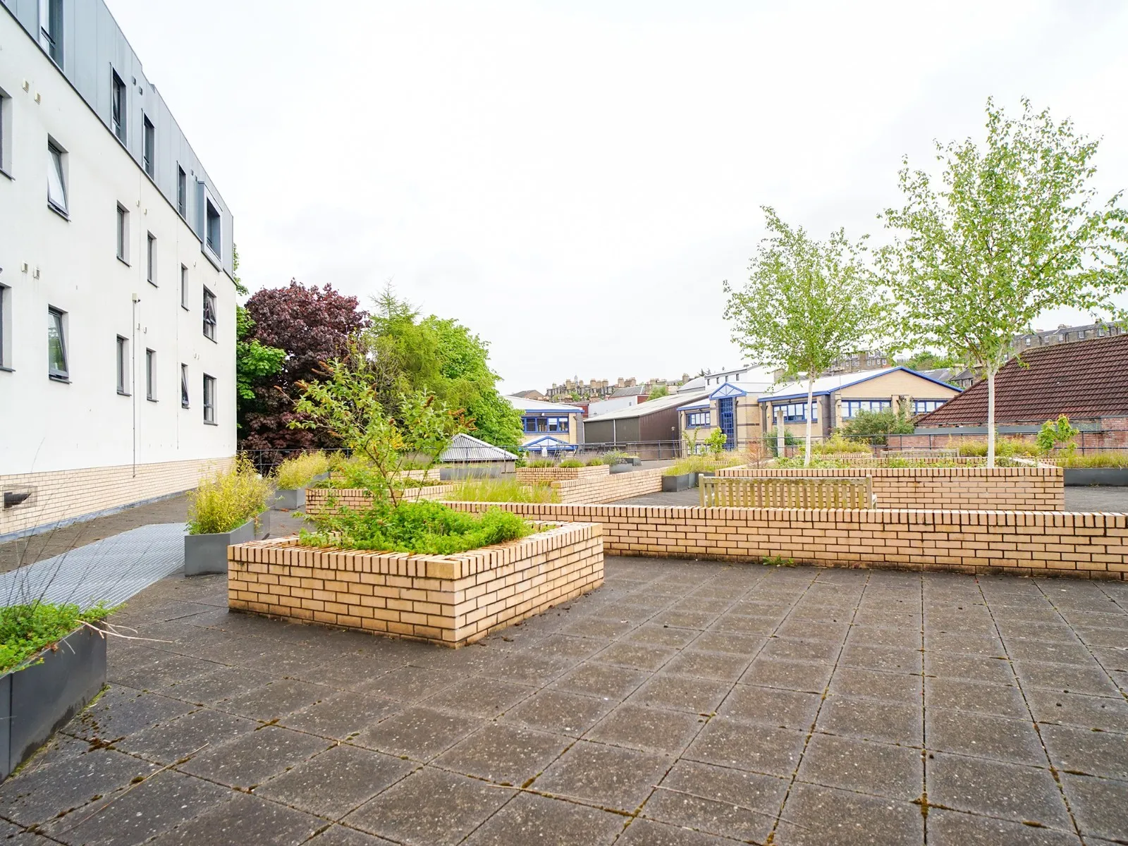 Image 12