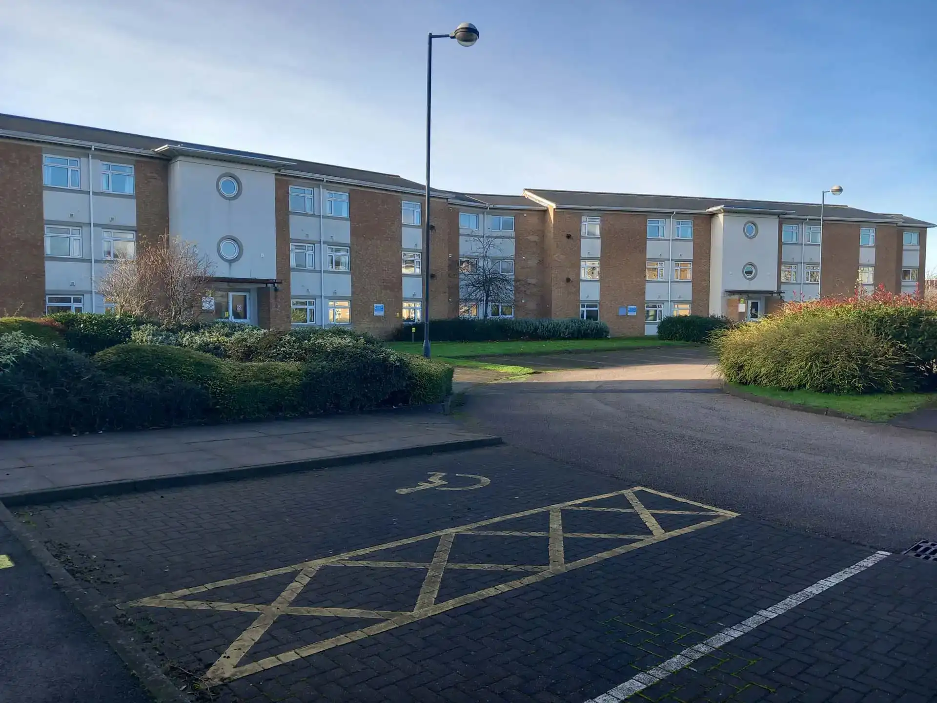 Image 4